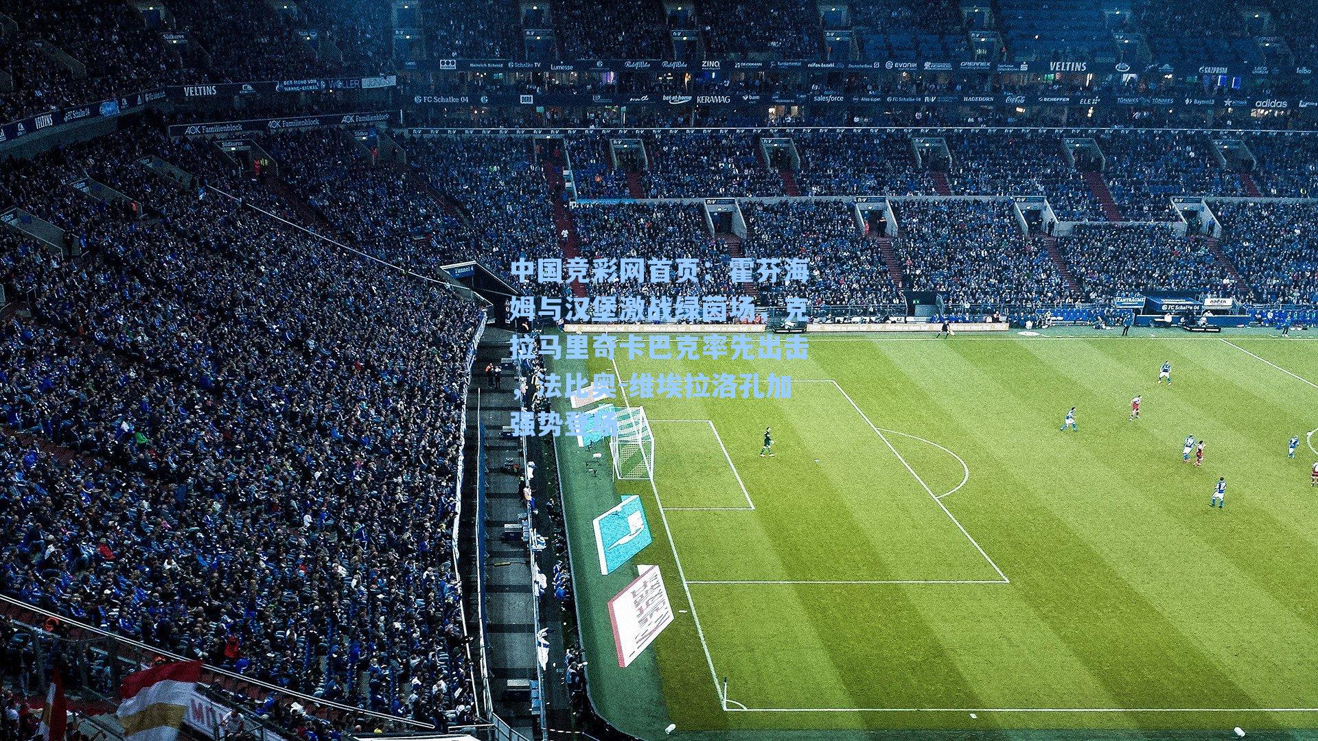 中国竞彩网首页：霍芬海姆与汉堡激战绿茵场，克拉马里奇卡巴克率先出击，法比奥-维埃拉洛孔加强势登场